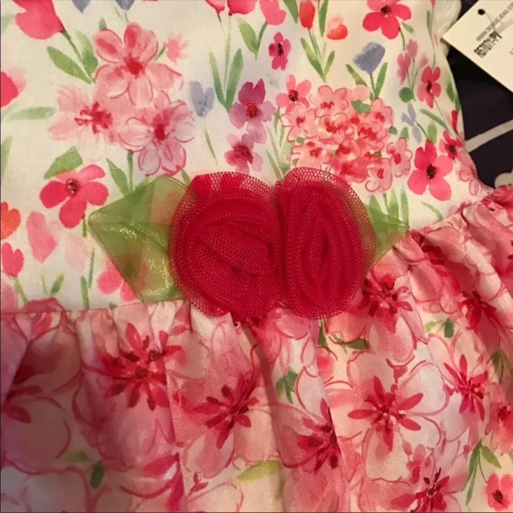 NEW Bonnie Jean Floral Party Dress with Bloomers White Pink Girls Size 2T NWT